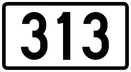 Angel number 313