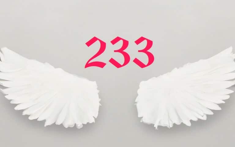 233 Angel number