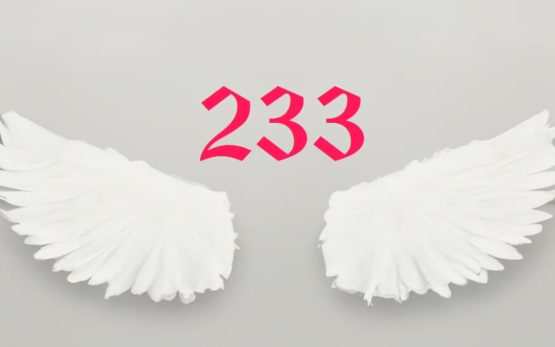 233 Angel number