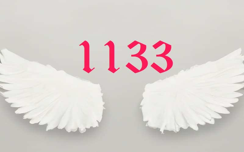 Angel number 1133