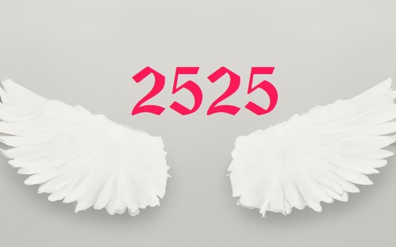 Angel number 2525 heralds that change is on the horizon. Don’t be alarmed, as change is a necessary part of life that leads to growth.