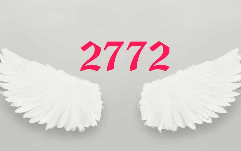 Angel Number 2772 | Spiritual Awakening and Growth