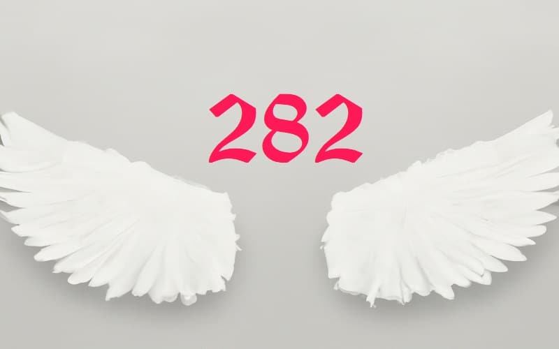 Learn about the profound meaning of Angel Number 282 and its message of harmony and abundance. Embrace divine guidance and personal growth.