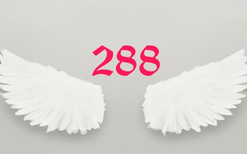 Discover the powerful message of Angel Number 288 and how it signifies the transformation of dedication into lasting success. Learn how balance, karma, and divine guidance play a role in manifesting abundance in your life.
