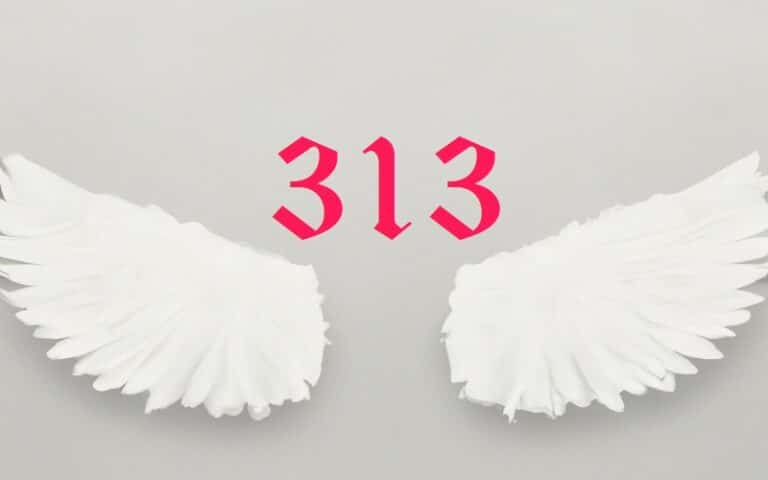 Angel number 313