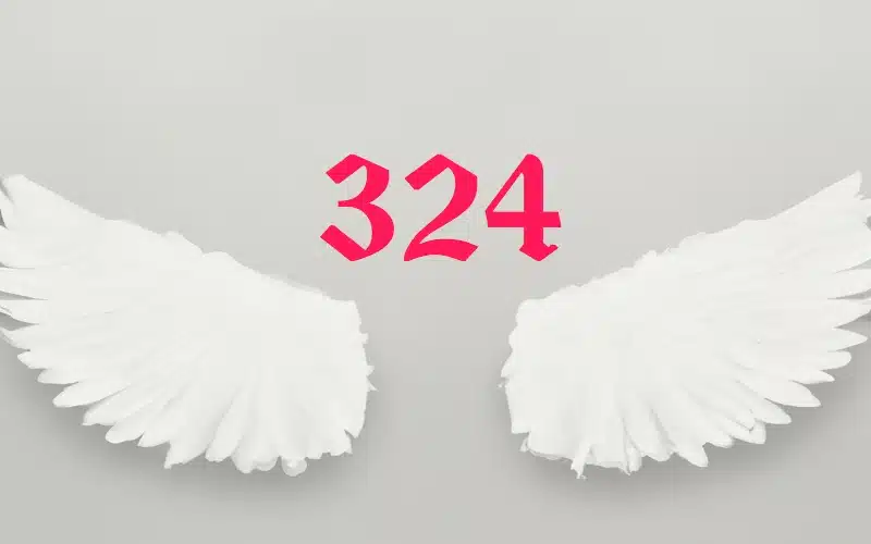 Your angels and guides are showing you angel number 324 in recognition of your hard work and effort, and the stability you have built for yourself.