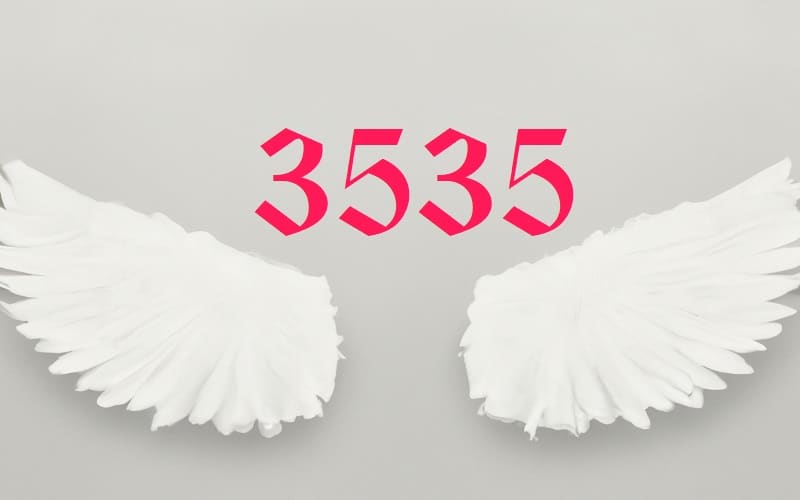 Angel Number 3535 is a divine message that encourages us to harmonize our physical and spiritual realms, and to evolve into our highest potential.