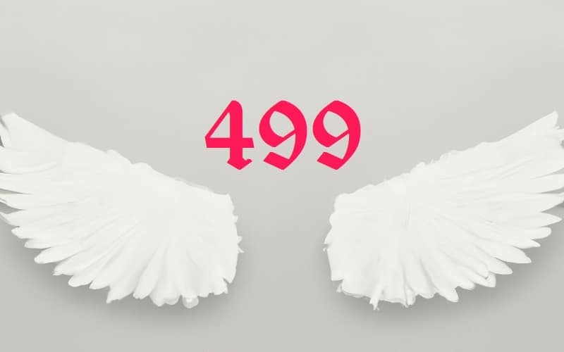 Discover the powerful message behind Angel Number 499. Learn how it guides you toward aligning your life with purpose through mindful action, spiritual growth, and personal evolution.