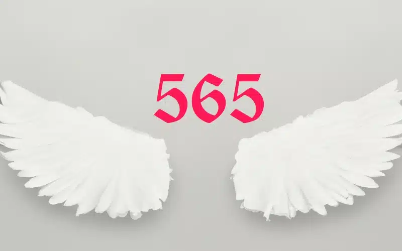 Explore the meaning of Angel Number 565 and how it invites you to embrace life’s changes with courage and compassion. Learn how this number guides you to stay grounded in love and responsibility while allowing personal growth and transformation to unfold.