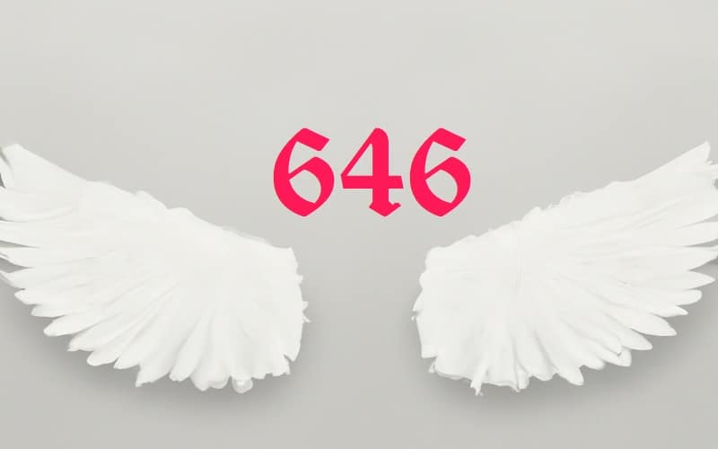Discover the divine messages of Angel Number 646, guiding you towards spiritual growth, personal evolution, and new beginnings.