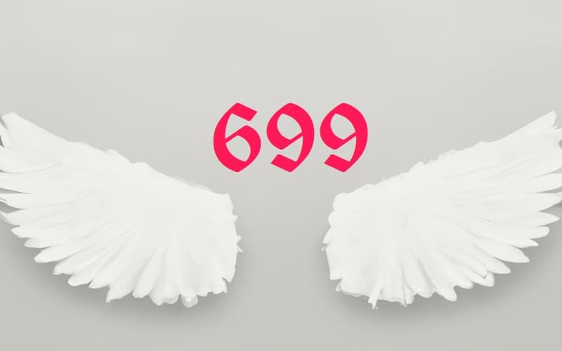 Discover the spiritual significance of Angel Number 699 in your life. Learn how this powerful number can guide you towards personal growth and fulfillment.