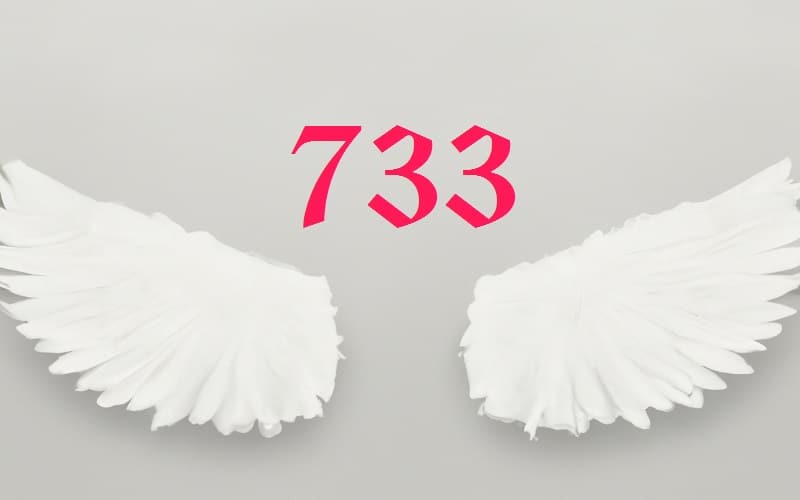 733 angel number