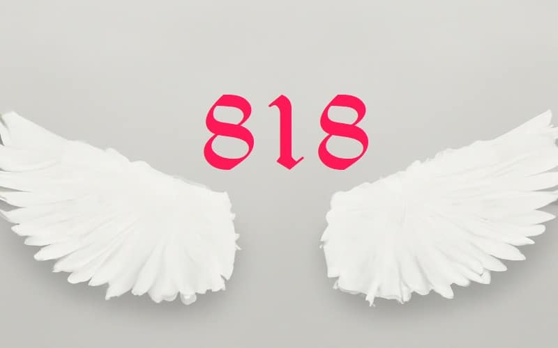 Angel number 818 encourages us to find equilibrium in our lives, to harmonize our spiritual growth with our worldly responsibilities.