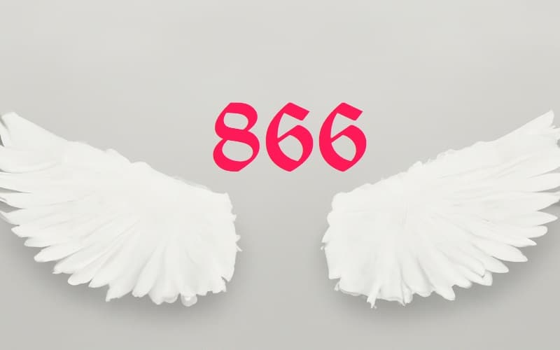 Unveil the spiritual insights of Angel Number 866. Learn about its impact on love, career, and personal growth, and discover the divine guidance it offers.