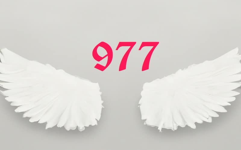 Discover the profound meaning of Angel Number 977. Learn how this spiritual number guides you towards enlightenment, personal growth, and divine love.