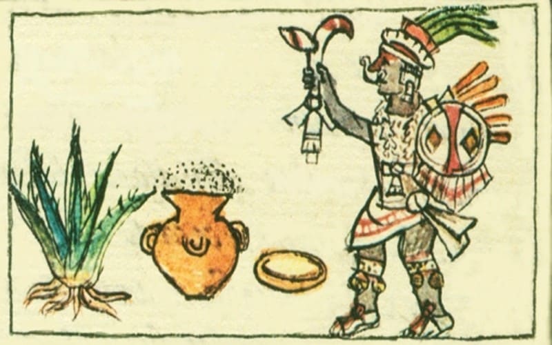 mayahuel